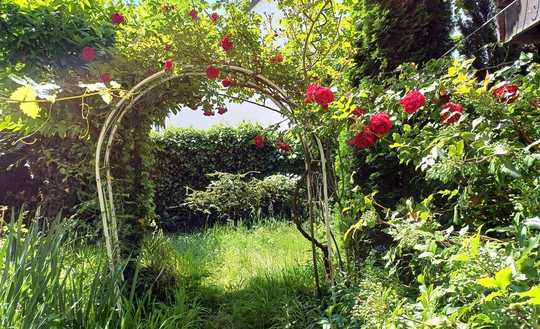 Doppelhaushälfte als Mehrgenerationenhaus mit paradisischem Garten!
