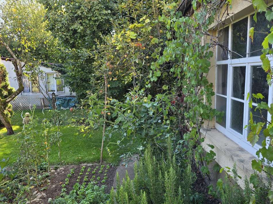 Gartenansicht außen