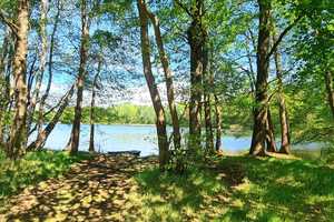 Naturparadies Rheinsberg: Bungalows auf großem Grundstück in Nähe zu zwei wunderschönen Seen – Ostprignitz-Ruppin (Kreis) – Vorschaubild 17