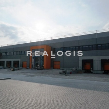 Logistik/ Produktion - 10,00 m UKB - 5x Rampe