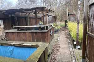 Reihenbootshaus am Goldberger See – Parchim (Kreis) – Vorschaubild 8