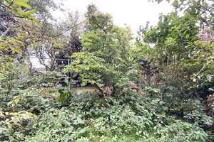 LIEBHABEROBJEKT MIT VERWUNSCHENEM GARTENPARADIES! – 44359 Schwieringhausen, Dortmund – Vorschaubild 10