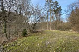 Saniertes Einfamilienhaus mit eigenem Waldgrundstück, viel Privatsphäre & Naturblick in Lemberg – Die vollständige Adresse der Immobilie erhältst du vom Anbieter., 66969 Lemberg – Vorschaubild 32