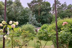 Sonniges Haus, direkt am Waldrand, großer Garten - ruhig, grün, schön! – Die vollständige Adresse der Immobilie erhältst du vom Anbieter., 12623 Mahlsdorf, Berlin – Vorschaubild 3