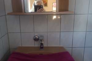 Renditestarkes MFH in LU-Edigheim-Modernisiert, mit Garten, Garage und Mietplus (Soll ca. 6% ) – 67069 Edigheim, Ludwigshafen am Rhein – Vorschaubild 10