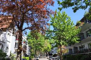 Bestlage Briller Viertel, mit kleinem eigenen Garten und Schreinermöbeln, bodentiefe Fenster, TOP – Mozartstrasse 28, 42115 Elberfeld West, Wuppertal – Vorschaubild 15