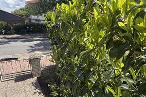 Gepflegte Doppelhaushälfte mit Kamin, Garten & vielseitigem Souterrain in ruhiger Lage – Die vollständige Adresse der Immobilie erhältst du vom Anbieter., 30880 Langenhagen – Vorschaubild 6
