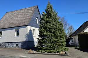 Einfamilienhaus mit großem Garten nahe Bad Marienberg – Westerwaldkreis – Vorschaubild 15