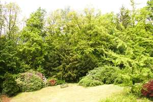 Zuhause mit viel Platz und Natur in Siegen-Weidenau – Die vollständige Adresse der Immobilie erhältst du vom Anbieter., 57076 Weidenau, Siegen – Vorschaubild 27