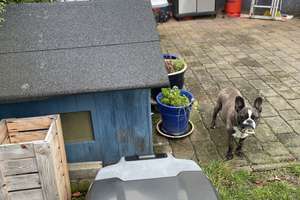 Großes Einfamilienhaus m Einliegerwohnung gr Garage, Zisterne und Photovoltaik – Die vollständige Adresse der Immobilie erhältst du vom Anbieter., 9600 Oberschöna – Vorschaubild 29