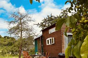 Winter im Tiny Haus - Rückzugsort auf Zeit inmitten von Natur  – Die vollständige Adresse der Immobilie erhältst du vom Anbieter., 49497 Mettingen – Vorschaubild 1