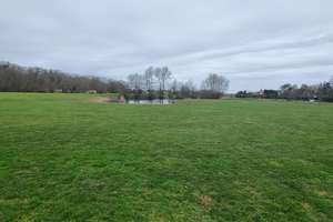 DIREKT AM GOLFPLATZ/ MODERNER BUNGALOW  MIT GR. GRUNDSTÜCK – Die vollständige Adresse der Immobilie erhältst du vom Anbieter., 86633 Neuburg an der Donau – Vorschaubild 67