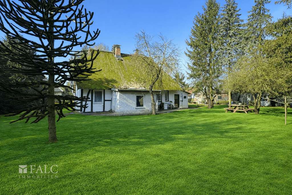 Immobilie in Holdorf - ***Landhaus mit großem Grundstück und viel Potenzial in ruhiger Feldrandlage*** - Bild 4