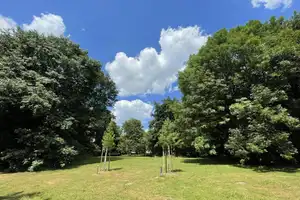 PROMENADENLAGE im X-Viertel – Münster – Vorschaubild 1