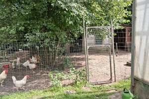 Charmantes Einfamilienhaus mit großem Grundstück in Belm – Ideal für Familien und Naturliebhaber – Die vollständige Adresse der Immobilie erhältst du vom Anbieter., 49191 Belm – Vorschaubild 4