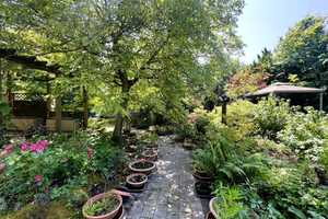 RESERVIERT! Wohnhaus nebst Doppelcarport und tollem Garten mit beeindruckender Pflanzenvielfalt! – Lippe (Kreis) – Vorschaubild 10