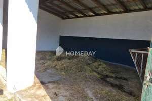 Reiterparadies am Steigerwald – saniertes Bauernhaus mit  Offenstallanlage und Ausbaureserve – Die vollständige Adresse der Immobilie erhältst du vom Anbieter., 96181 Rauhenebrach – Vorschaubild 12