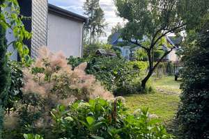 ***Oase der Ruhe in Groß Glienicke, lichtdurchfluteter Bungalow  in Seenähe!*** – Die vollständige Adresse der Immobilie erhältst du vom Anbieter., 14476 Groß Glienicke, Potsdam – Vorschaubild 8