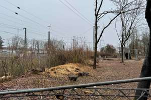 Property thumbnail 14