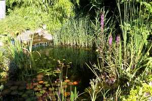 *1 F-Reiheneckhaus mit Garten, EB-Küche, Carport, Doppelgarage u.v.m. in MG-Hockstein!* – Mönchengladbach – Vorschaubild 8