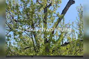 Tauschwohnung: Sonnige 2 Zimmer Wohnung in Friedenau gegen 3 – Südwestkorso 7, 12161 Friedenau, Berlin – Vorschaubild 20
