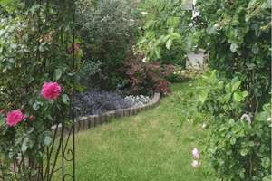 Property thumbnail 30