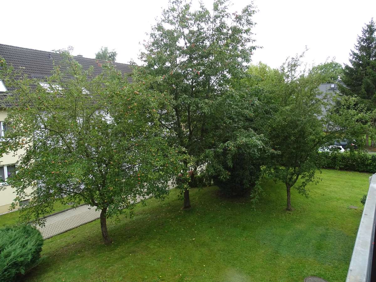 Ausblick