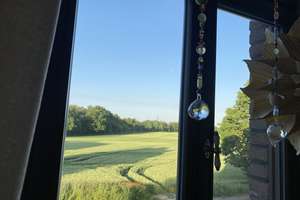 Sanierte Altbauwohnung im Denkmalhaus – Feldblick, hohe Decken & Designbad