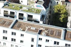 Hochwertige 3-Zimmer-Neubauwohnung mit Süd-Balkon – Pannierstraße 37, 12047 Neukölln (Ortsteil), Berlin – Vorschaubild 13