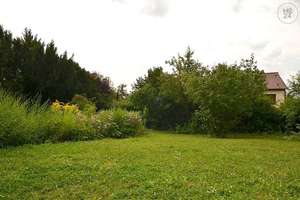 Traumhaft möbliertes Haus mit Garten und Pool in Würzburg/Frauenland – Die vollständige Adresse der Immobilie erhältst du vom Anbieter., 97074 Frauenland, Würzburg – Vorschaubild 40