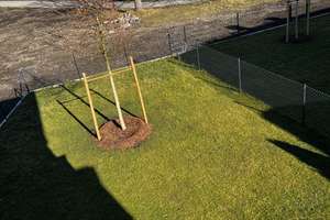 Ein Platz für die ganze Familie auf über 250 m² mit großem Garten – 81929 Johanneskirchen, München – Vorschaubild 10