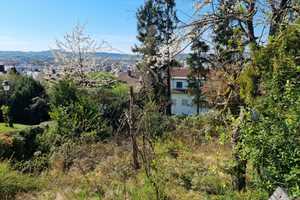 Im Gebotsverfahren: Freisteh. 1- Fam.-Hs. in idyll. Lage in Sinsheim, Erbpacht - 10003965 – Rhein-Neckar-Kreis – Vorschaubild 15