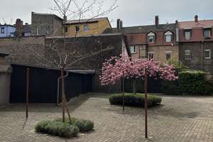 Große, renovierte und helle 1-ZKB-Dachgeschoßwohnung  in Ma-Waldhof – Otto-Siffling-Straße 13, 68305 Waldhof, Mannheim – Vorschaubild 7
