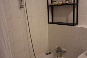 Central 3-person shared apartment for animal lovers with all amenities – Die vollständige Adresse der Immobilie erhältst du vom Anbieter., 14467 Nördliche Innenstadt, Potsdam – Vorschaubild 7