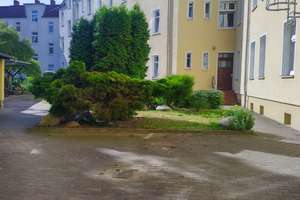 Nette 2-Raum-DG-Wohnung Nähe Uniklinik – Ackerstraße 21, 39112 Leipziger Straße, Magdeburg – Vorschaubild 2