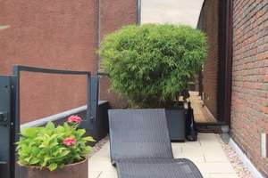 Wunderschöne Penthouse-Wohnung mit großer Dachterrasse in Braunschweig – Die vollständige Adresse der Immobilie erhältst du vom Anbieter., 38112 Nordstadt, Braunschweig – Vorschaubild 4