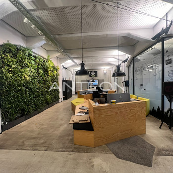 Living Office I Historischer Charme trifft moderne Architektur I zentrale Lage