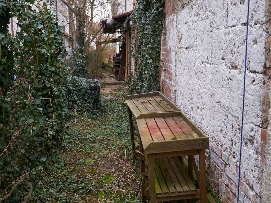 Hinter dem Haus 2