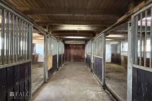 ***Mehrfamilienhaus & Exklusiver Pferdehof mit Reitanlage auf ca 21.000 m² Grundstück*** – Die vollständige Adresse der Immobilie erhältst du vom Anbieter., 37574 Einbeck – Vorschaubild 23