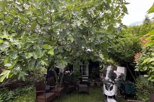 Heerdt: Einfamilienhaus mit Apartment und Garten! – Pestalozzistr. 56, 40549 Heerdt, Düsseldorf – Vorschaubild 11