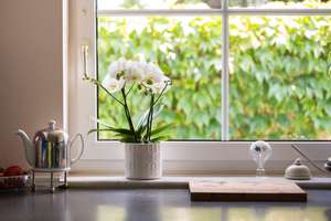 Licht, Raum und Lebensqualität – besondere Doppelhaushälfte mit Atelier und Gartenidylle – Die vollständige Adresse der Immobilie erhältst du vom Anbieter., 51067 Holweide, Köln – Vorschaubild 5