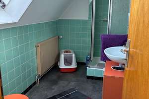 Attraktives Einfamilienhaus mit sechs Zimmern und EBK in Zetel – Die vollständige Adresse der Immobilie erhältst du vom Anbieter., 26340 Zetel – Vorschaubild 14