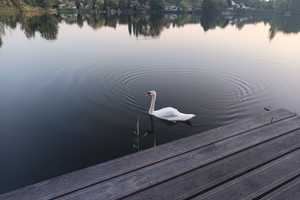 Möbliertes, 3-Zimmer-EFH am See mit gehobener Innenausstattung  – Birkengrund 4, 15757 Dahme-Spreewald (Kreis) – Vorschaubild 16