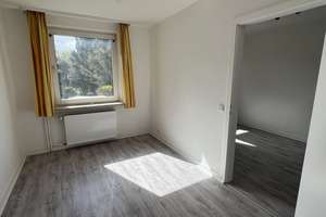 Renovierte & sanierte 4 Zi-Whg. mit S-W Balkon, Hochparterre, gepflegtes 6 Parteienhaus in Hassels – Die vollständige Adresse der Immobilie erhältst du vom Anbieter., 40599 Hassels, Düsseldorf – Vorschaubild 16