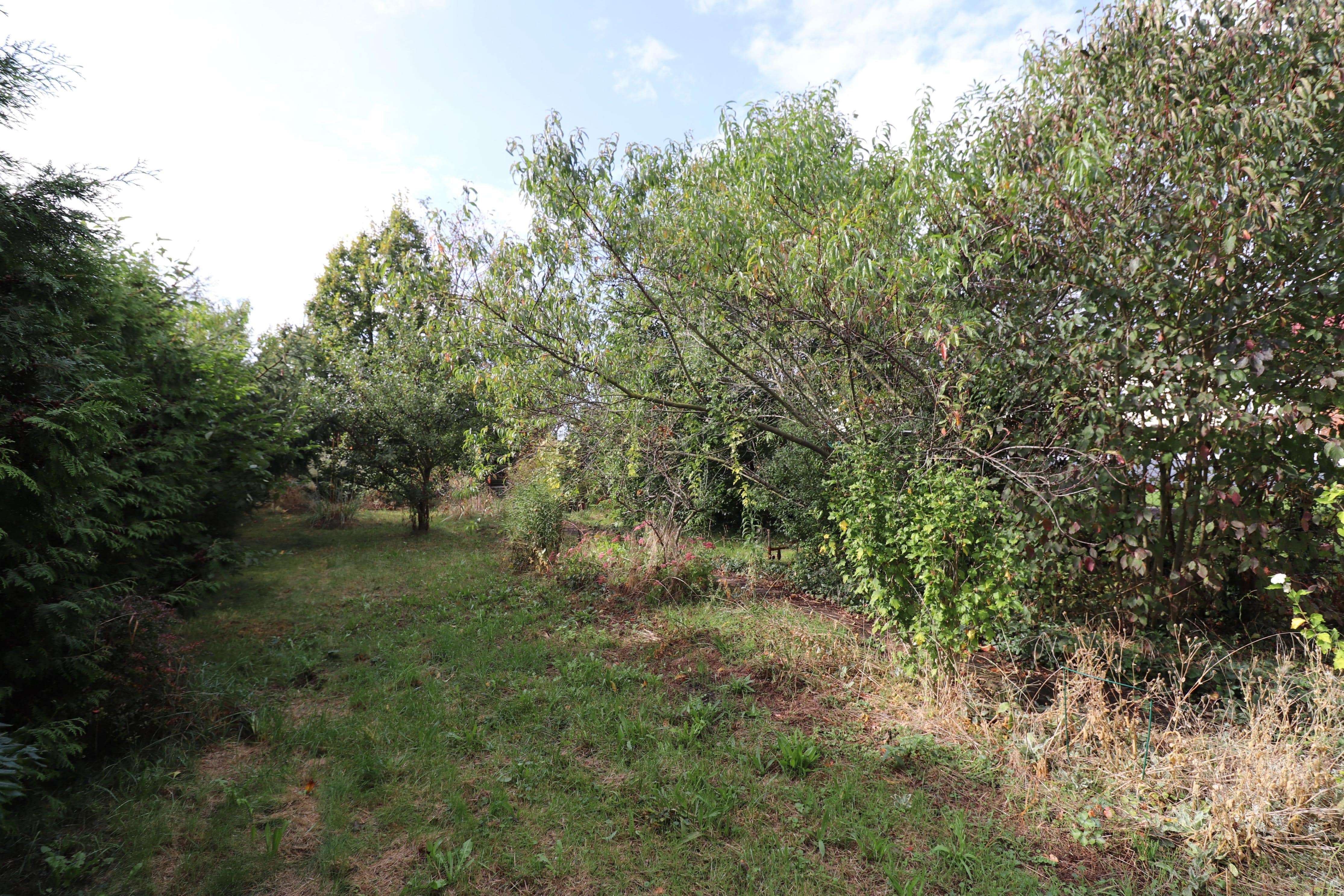 Sanierungsbedürftiges Reihenhaus mit Garten in Güsten – Ihr Projekt für ein neues Zuhause!, Salzlandkreis – Bild 4