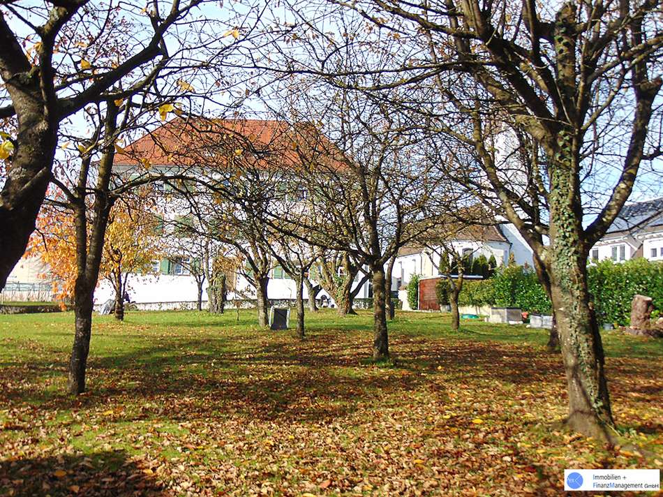 Kirschbaumgarten im Herbst