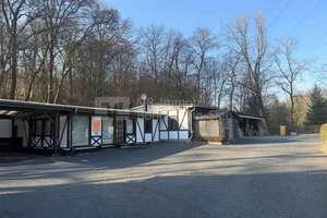 Historisches Einfamilienhaus mit großem Grundstück und attraktiver Pachteinnahme – Die vollständige Adresse der Immobilie erhältst du vom Anbieter., 53842 Wahnheide, Köln – Vorschaubild 6