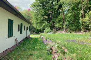 RESERVIERT - Ungeschliffene Perle - großer Bungalow mit Einliegerwohnung in absoluter Alleinlage – Die vollständige Adresse der Immobilie erhältst du vom Anbieter., 37627 Eschershausen – Vorschaubild 24