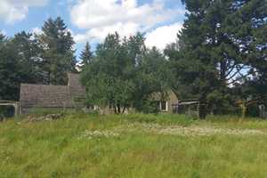 Traumhaus in Traumlage – Wildrosenweg 3, 14542 Potsdam-Mittelmark (Kreis) – Vorschaubild 2