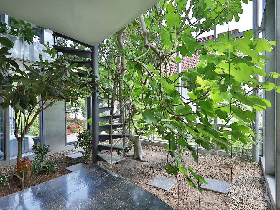 Untere Terrasse im Winterga...